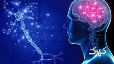 چرا مغز دربرابر تصمیمهای ناگهانی واکنش نشان میدهد؟