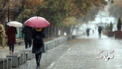 بارش باران- هواشناسی