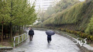 بارش باران- هواشناسی