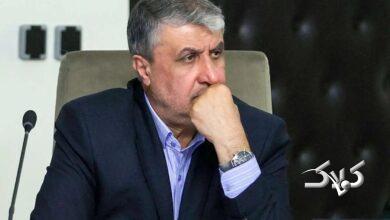 محمد اسلامی، رئیس سازمان انرژی اتمی