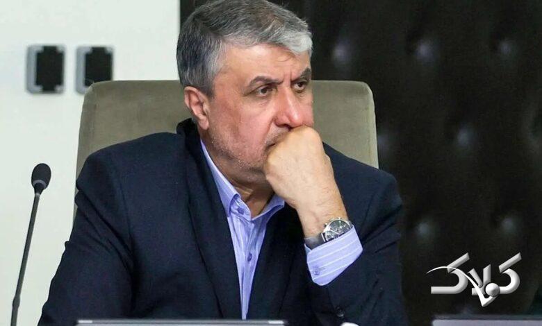 محمد اسلامی، رئیس سازمان انرژی اتمی