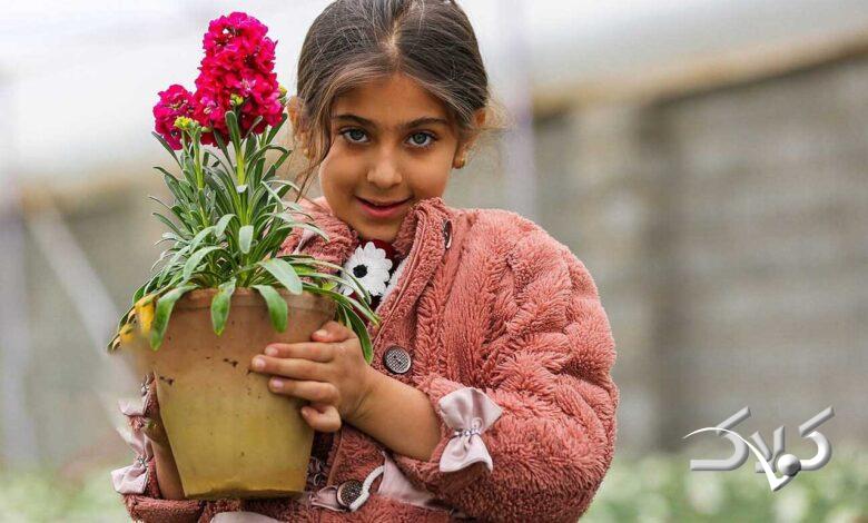 شب بو و نوروز