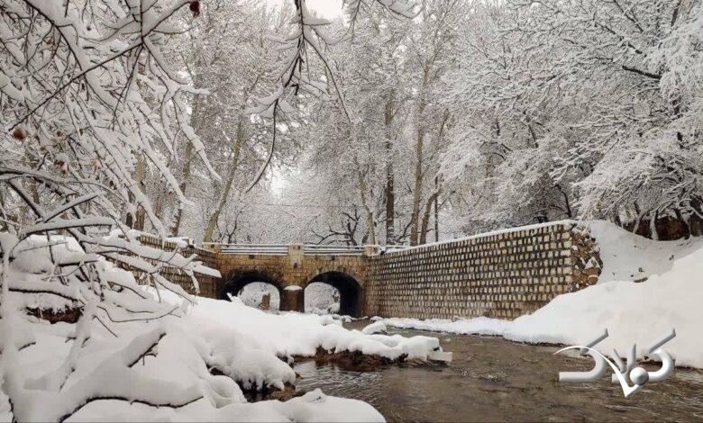 برف / زمستان / سرما