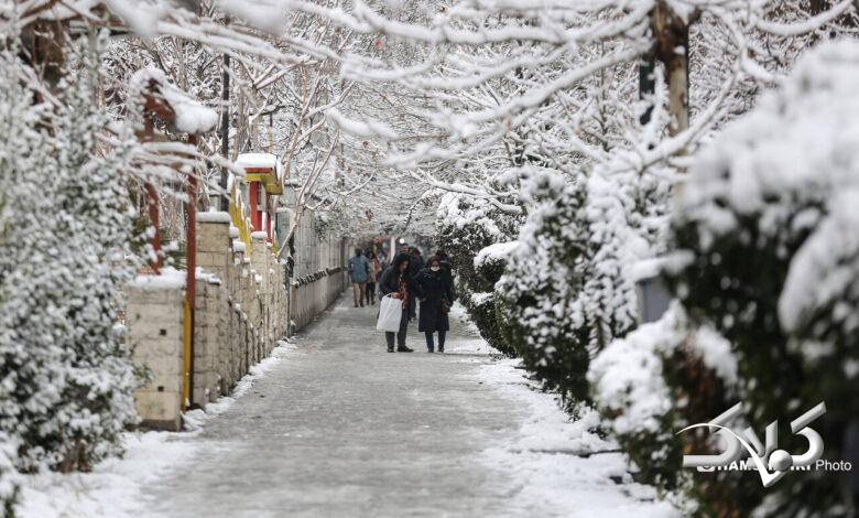 بارش برف زمستانی در تهران