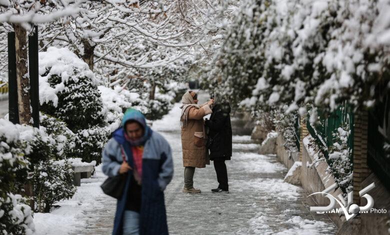 بارش برف زمستانی در تهران