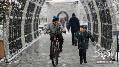 بارش برف زمستانی در تهران