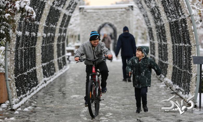 بارش برف زمستانی در تهران