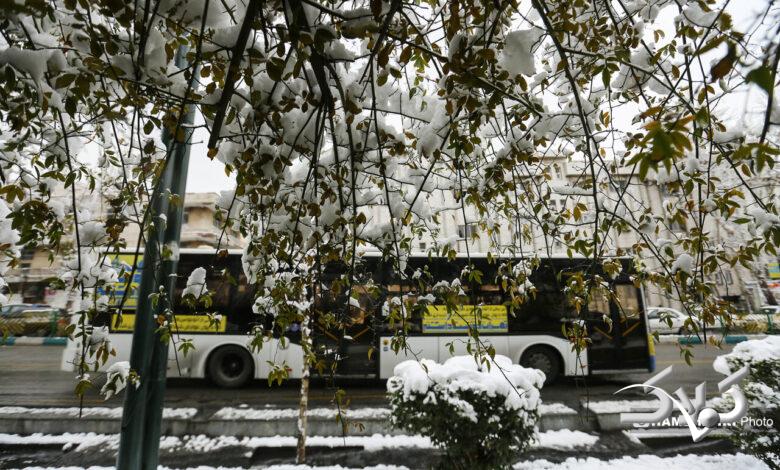 بارش برف زمستانی در تهران