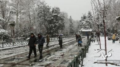 بارش برف زمستانی در تهران