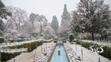 برف در شيراز