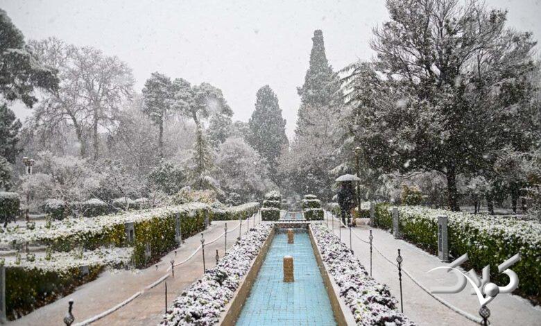 برف در شيراز