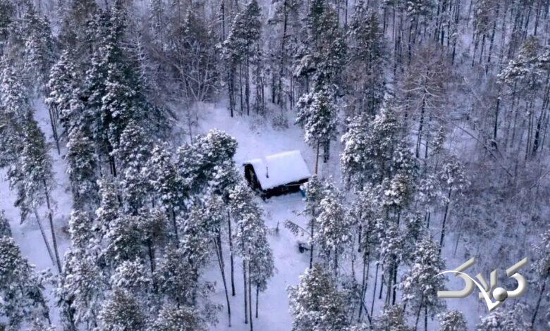 سردترین جنگل جهان