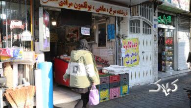 فروشگاه های عرضه کالا برگ