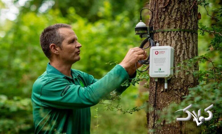 وقتی جنگلها با هم چت میکنند