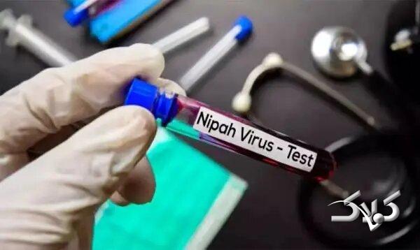 ویروس نیپا
