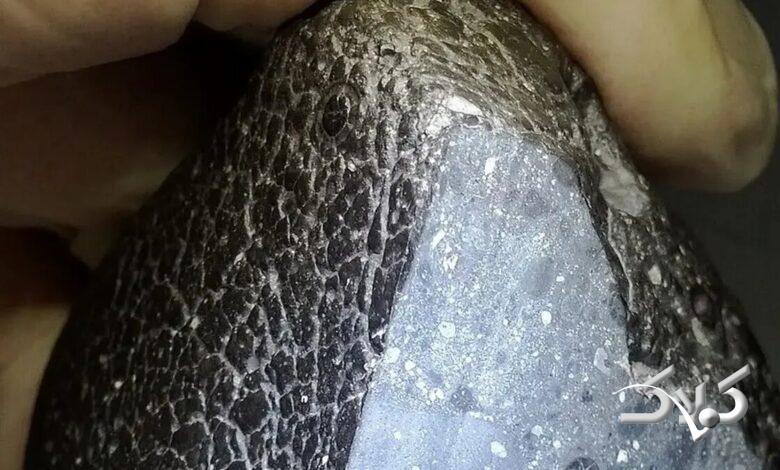 سنگ باستانی