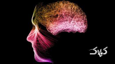 مدیتیشن و مغز