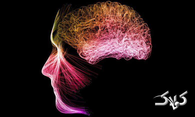 مدیتیشن و مغز