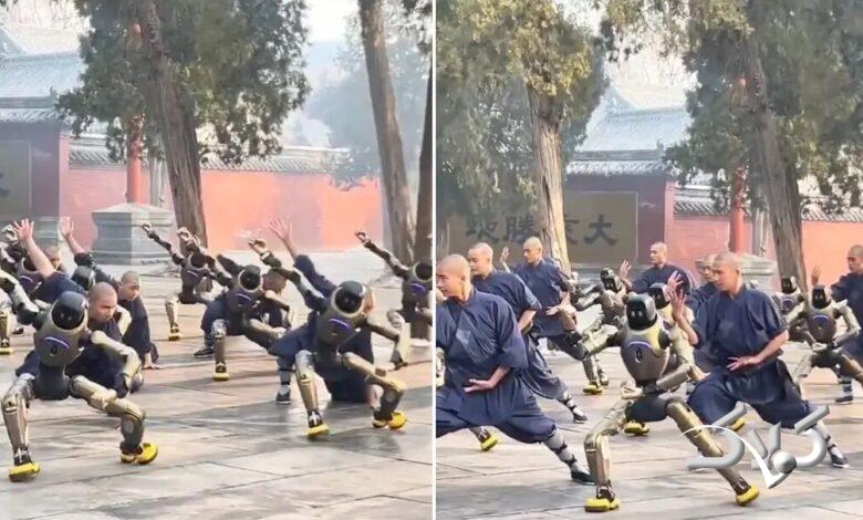 روباتها در شائولین