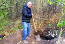 گنجینۀ نقرههای خانوادگی