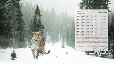 تقویم اسفند ۱۴۰۴