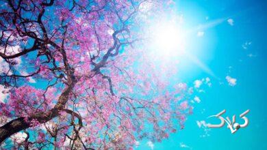 هواشناسی - بهار - گرما در بهار