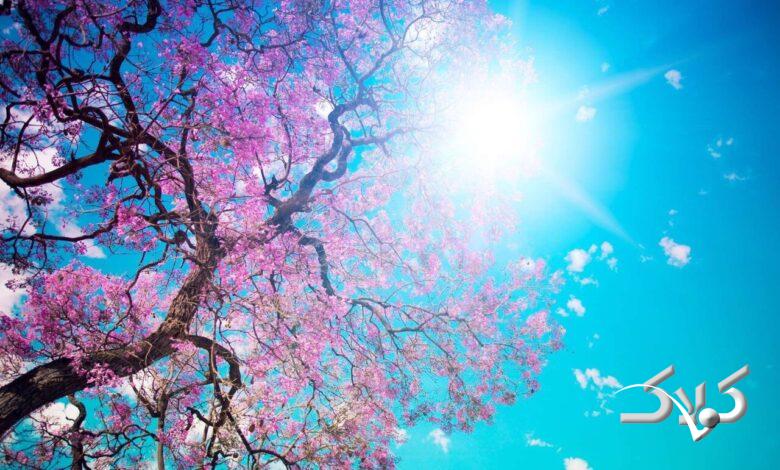 هواشناسی - بهار - گرما در بهار