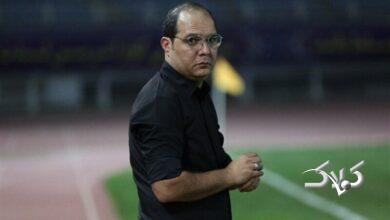 محمد ربیعی