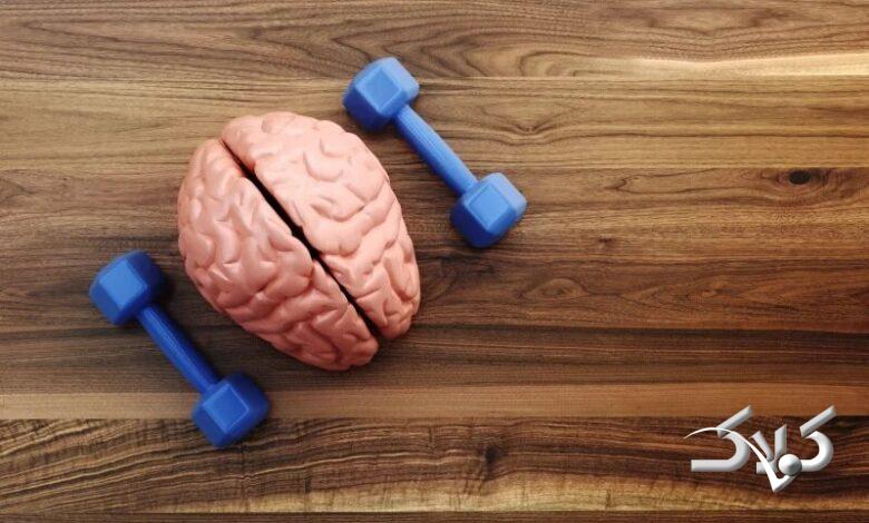 تمرین مغز