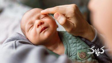 یک استراتژی علمی شگفتانگیز برای بقا؛