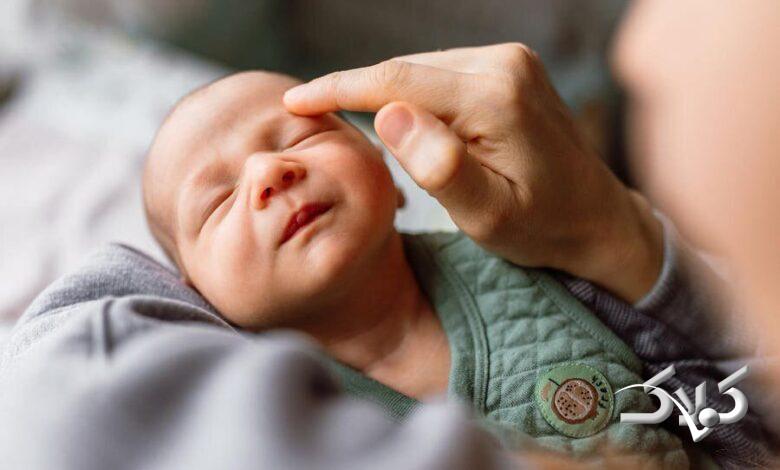 یک استراتژی علمی شگفتانگیز برای بقا؛