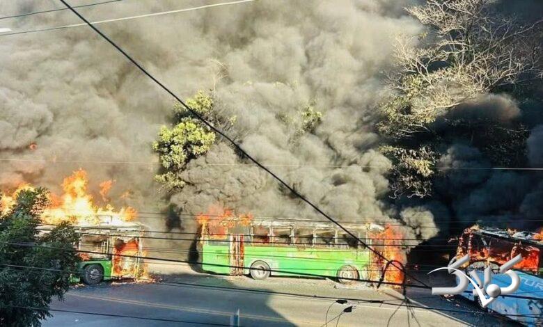 آشوب در مکزیک