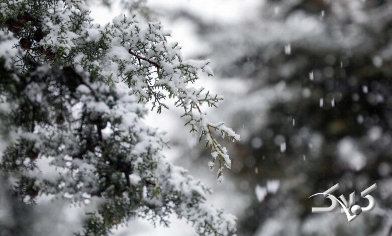 برف-برف زمستان