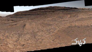 تصاویر ناسا از تارهای عنکبوت در مریخ