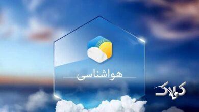 سواحل استان بوشهر مواج میشود
