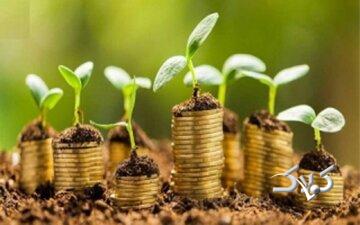 کسب روزی حلال چه اهمیتی دارد؟