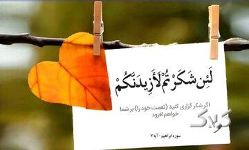 طلوع بندگی | اگر قدردان و شاکر باشیم، گمراه نمیشویم