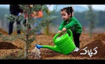 اعتماد به نفس میراث محیطهای امن و حمایتی برای کودکان