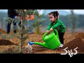 اعتماد به نفس میراث محیطهای امن و حمایتی برای کودکان