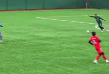 برخورد توپ با مرغ دریایی