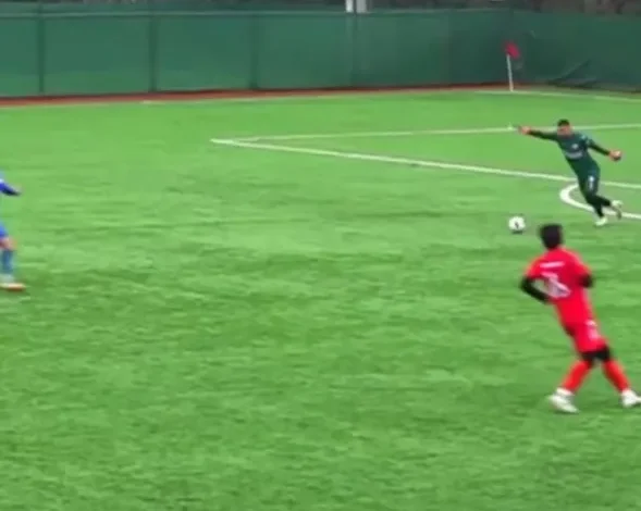 برخورد توپ با مرغ دریایی