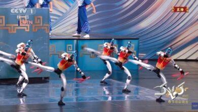 نمایش رباتهای کونگفوکار در چین