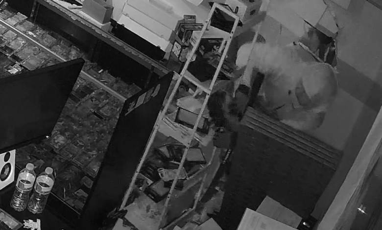 سرقت از فروشگاه برای کارت پوکمون