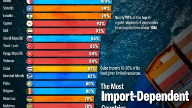 کشورهای با بیشترین وابستگی به واردات در جهان