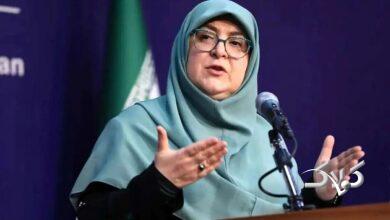 فاطمه مهاجرانی، سخنگوی دولت