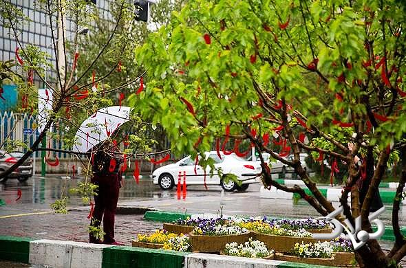 باران بهاري