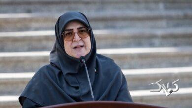 مهاجرانی برزیل