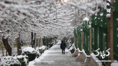 بارش برف زمستانی در تهران
