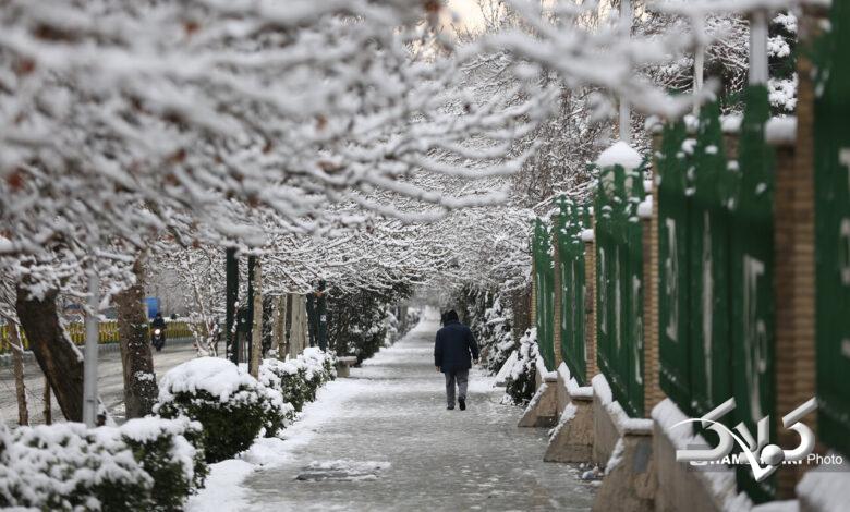بارش برف زمستانی در تهران