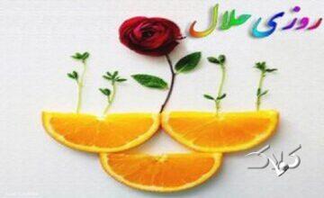 شبهه دستور دین به بانوان برای کسب روزی حلال